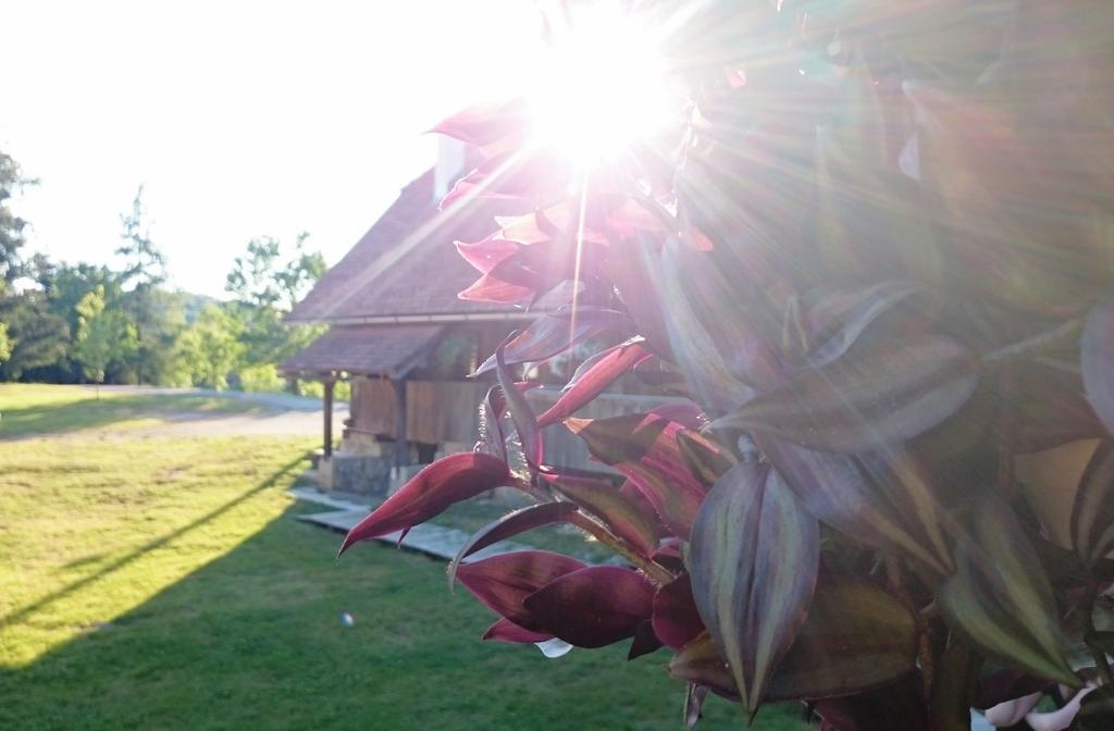 Rustic Home Mia Duga Resa Rom bilde