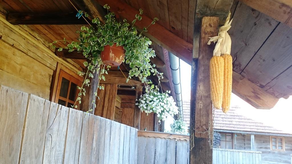Rustic Home Mia Duga Resa Rom bilde
