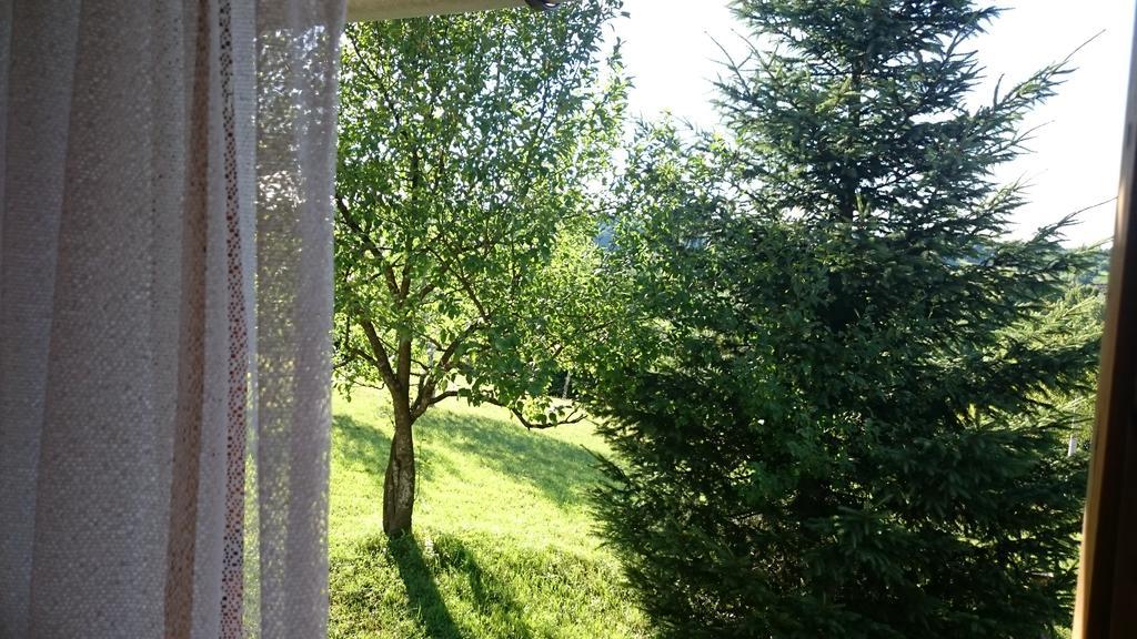 Rustic Home Mia Duga Resa Rom bilde
